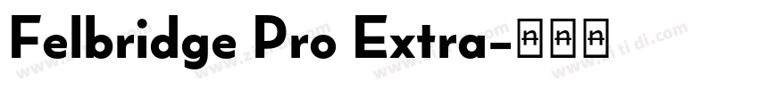 Felbridge Pro Extra字体转换